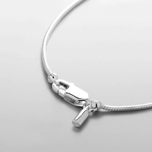 Lobster clasp and tag of the flat herringbone chain necklace